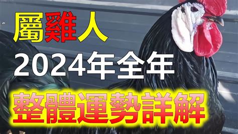 屬雞今年運勢|屬雞出生年份/幾多歲？屬雞性格特徵+生肖配對+2024。